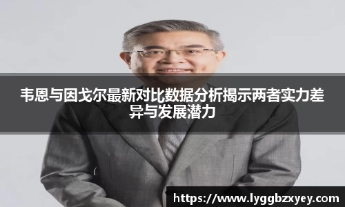 韦恩与因戈尔最新对比数据分析揭示两者实力差异与发展潜力